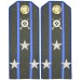 Погоны полевые ПОЛКОВНИК, Войск НКВД, обр. 1943г.